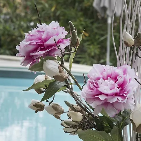 La Perla 3* 트레메쪼